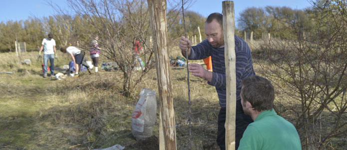 https://brightonpermaculture.org.uk/wp-content/uploads/racehill/volslideshow/racehillorchard07.jpg