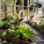 Hollingdean forest garden