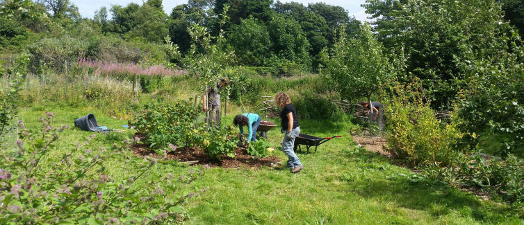 https://brightonpermaculture.org.uk/wp-content/uploads/volunteer/Plot-2.jpg